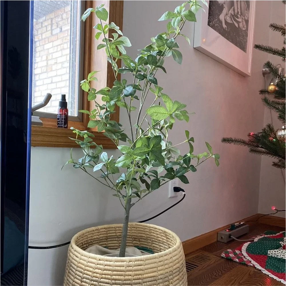 Hearth & Hand Magnolia 33